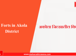 Forts in Akola District
