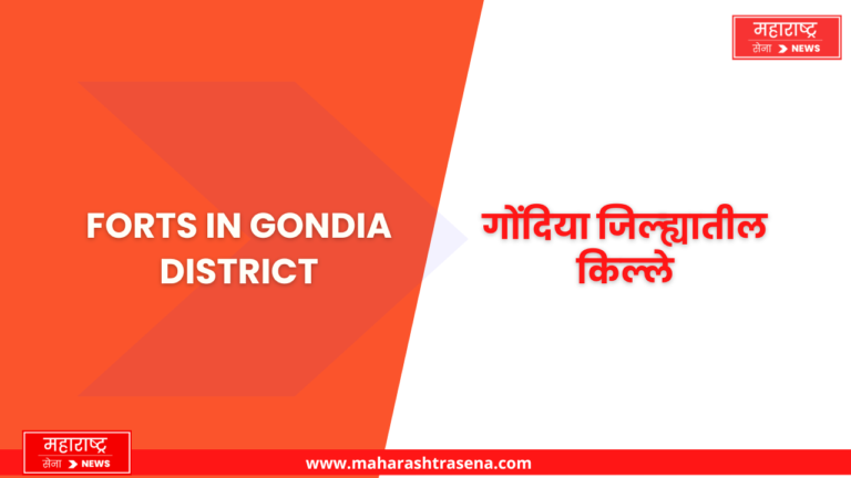 Forts in Gondia District